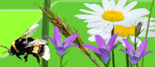 Naturkosmetik